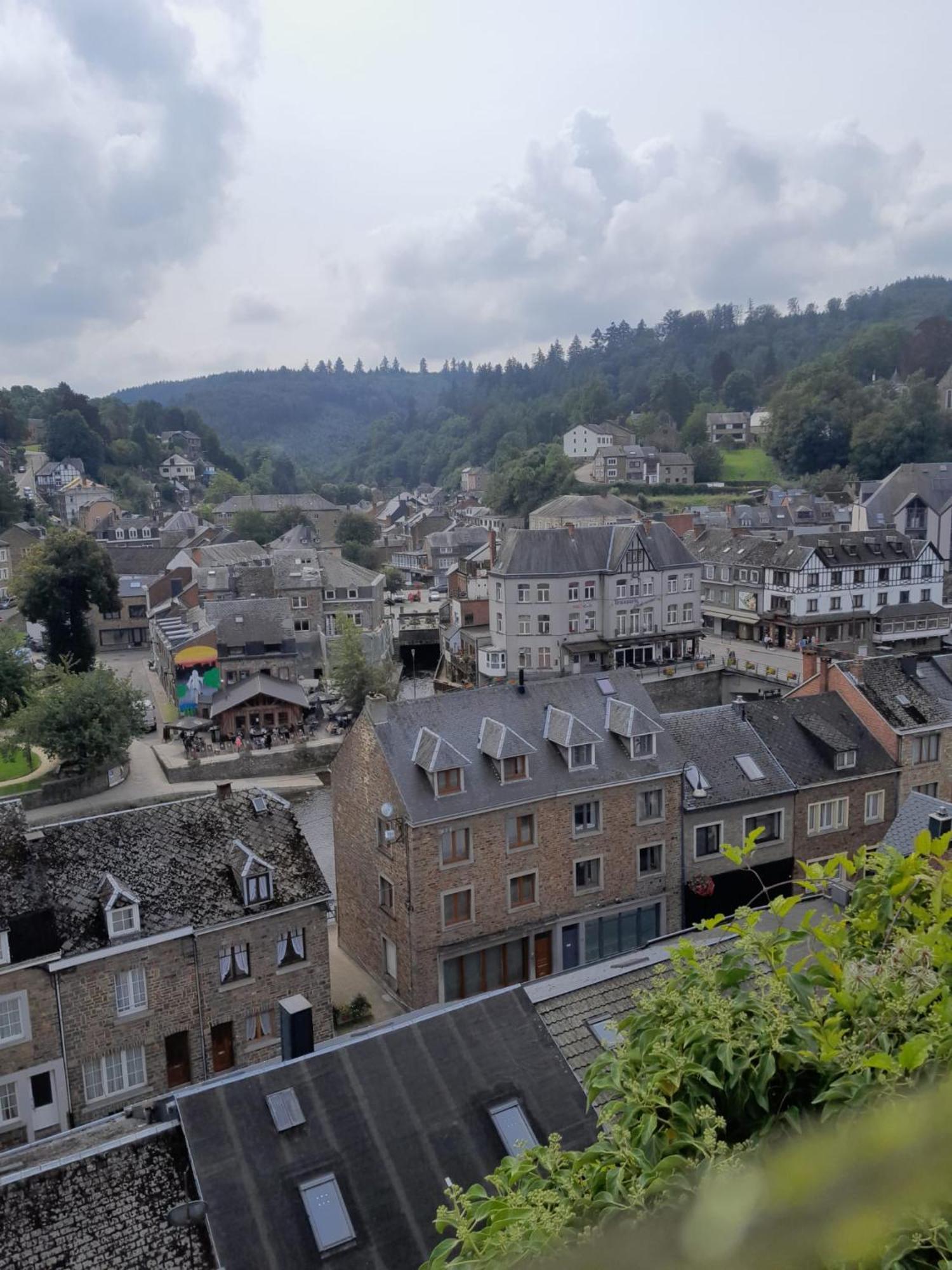 Le Panorama Villa La-Roche-en-Ardenne Værelse billede