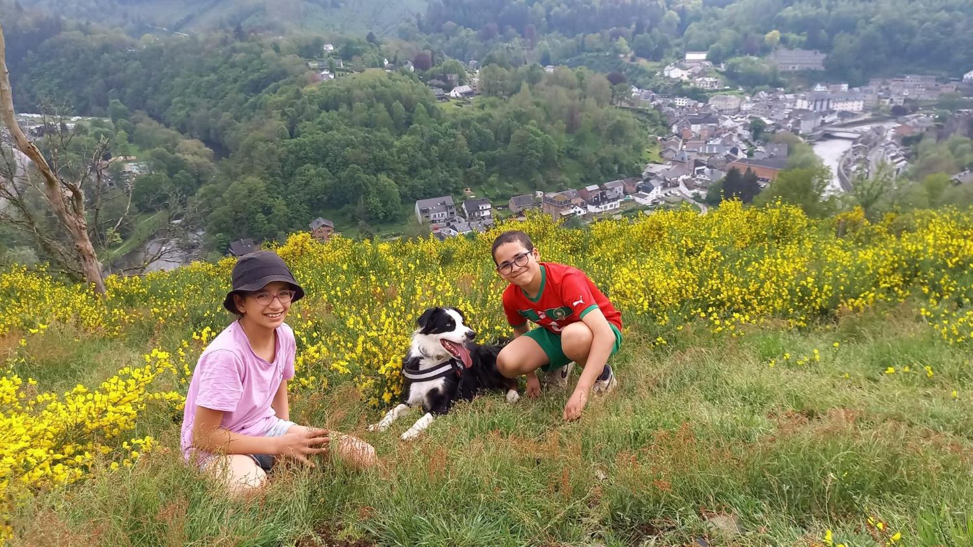 Le Panorama Villa La-Roche-en-Ardenne Eksteriør billede
