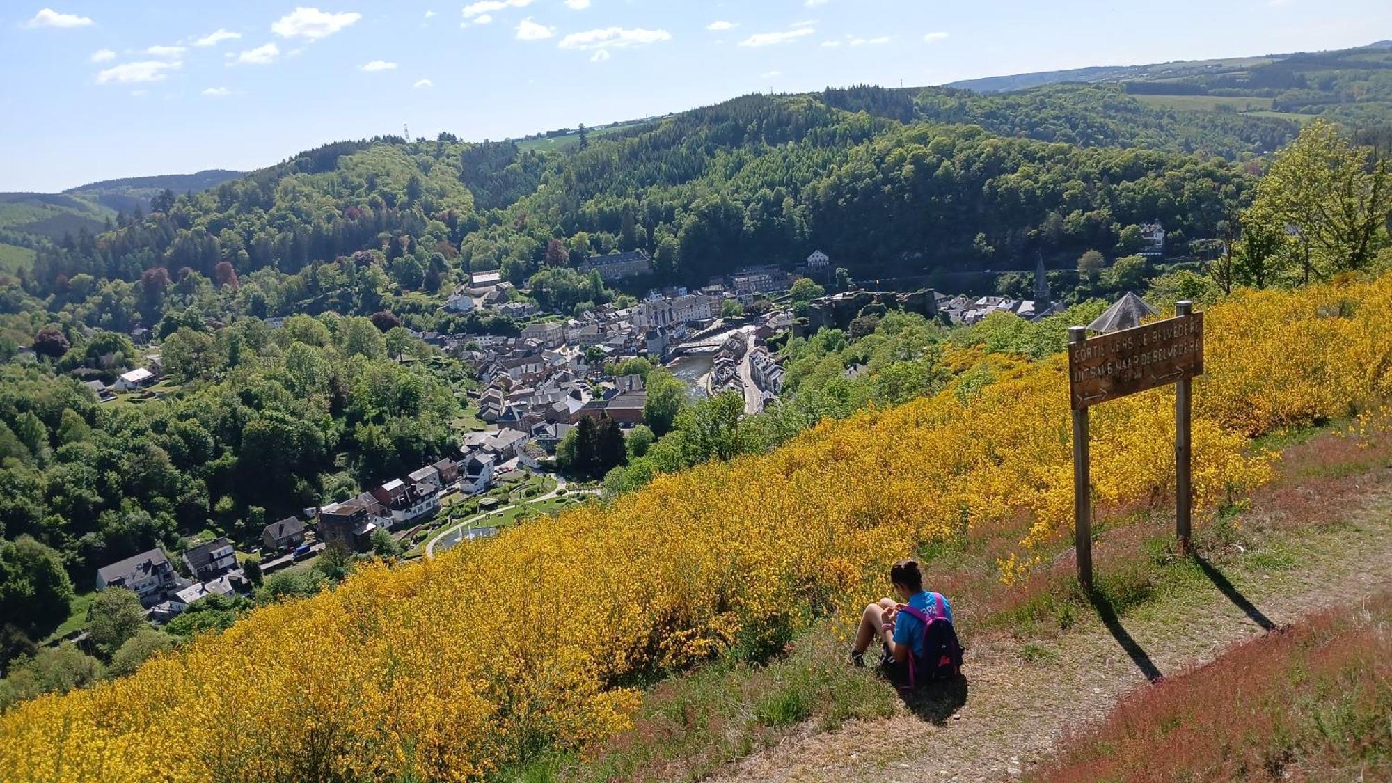 Le Panorama Villa La-Roche-en-Ardenne Eksteriør billede